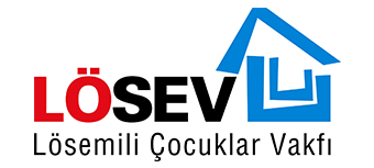 Lösev Logo